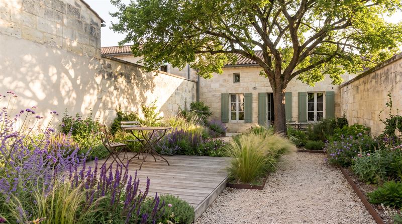 Cour d’échoppe bordelaise aménagée : terrasse en bois avec table bistrot, massifs de graminées et sauges, micocoulier ombrageant les murs de pierre blonde, allée en gravier bordée d’acier