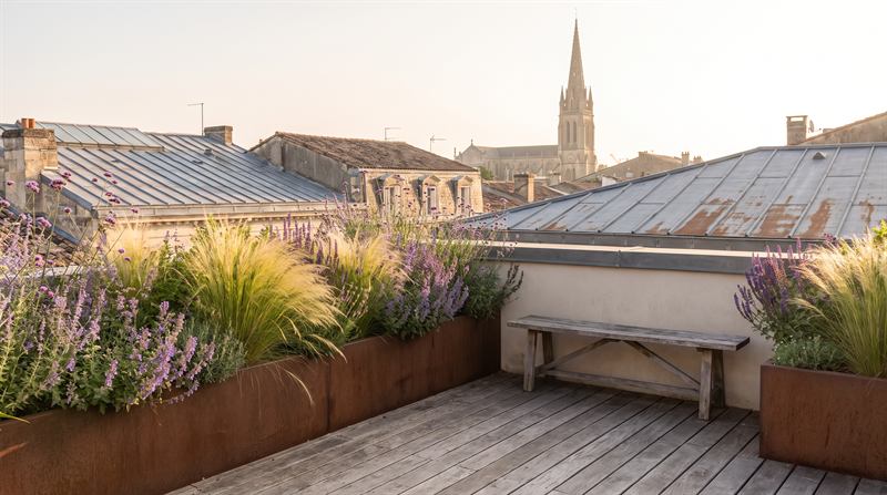 Terrasse de toit aux Chartrons : bacs en acier corten, graminées, banc en bois et toits de zinc