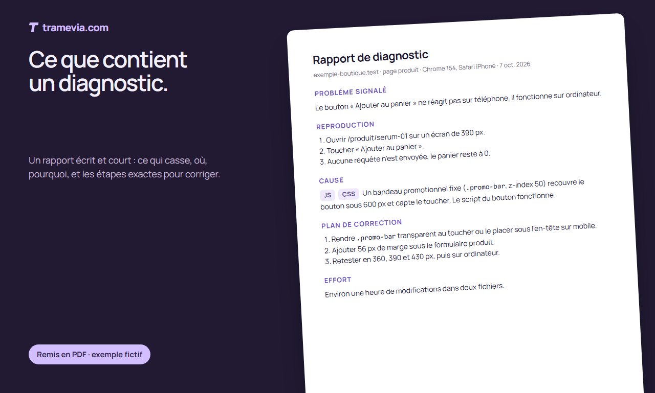 Exemple de rapport de diagnostic : problème signalé, reproduction, cause et plan de correction